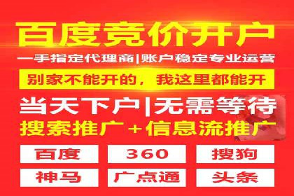 某公司如何利用SEO和SEM提升线上业务——真实案例分析